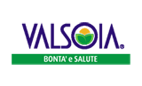 Valsoia logo